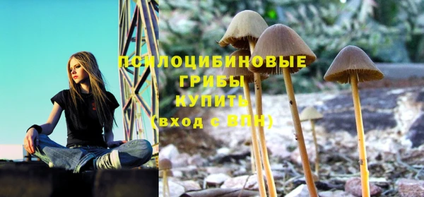 spice Каменск-Шахтинский