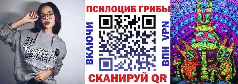 Галлюциногенные грибы мицелий  купить наркоту  Ельня 